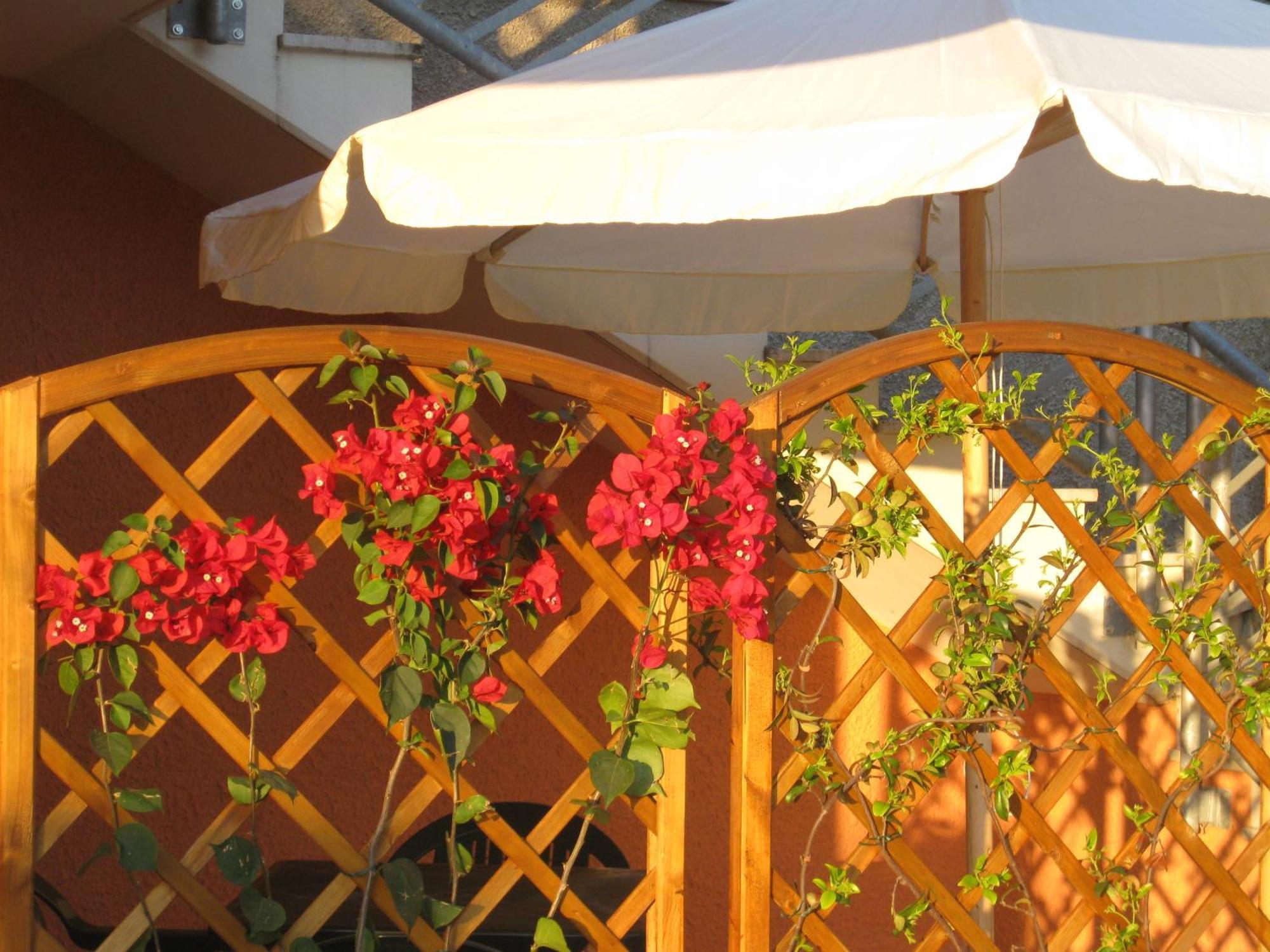 A Due Passi Dal Mare B&B Нумана Екстер'єр фото