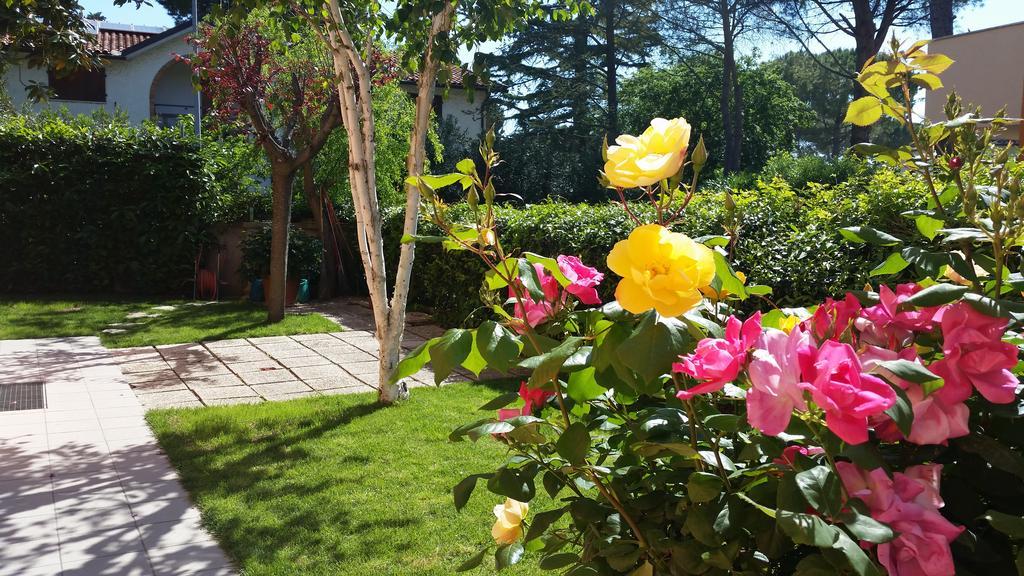 A Due Passi Dal Mare B&B Нумана Екстер'єр фото